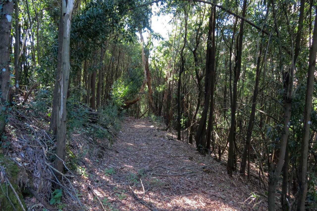 Willa Quinta Sao Jose - Museu Do Triciclo Mesão Frio Zewnętrze zdjęcie