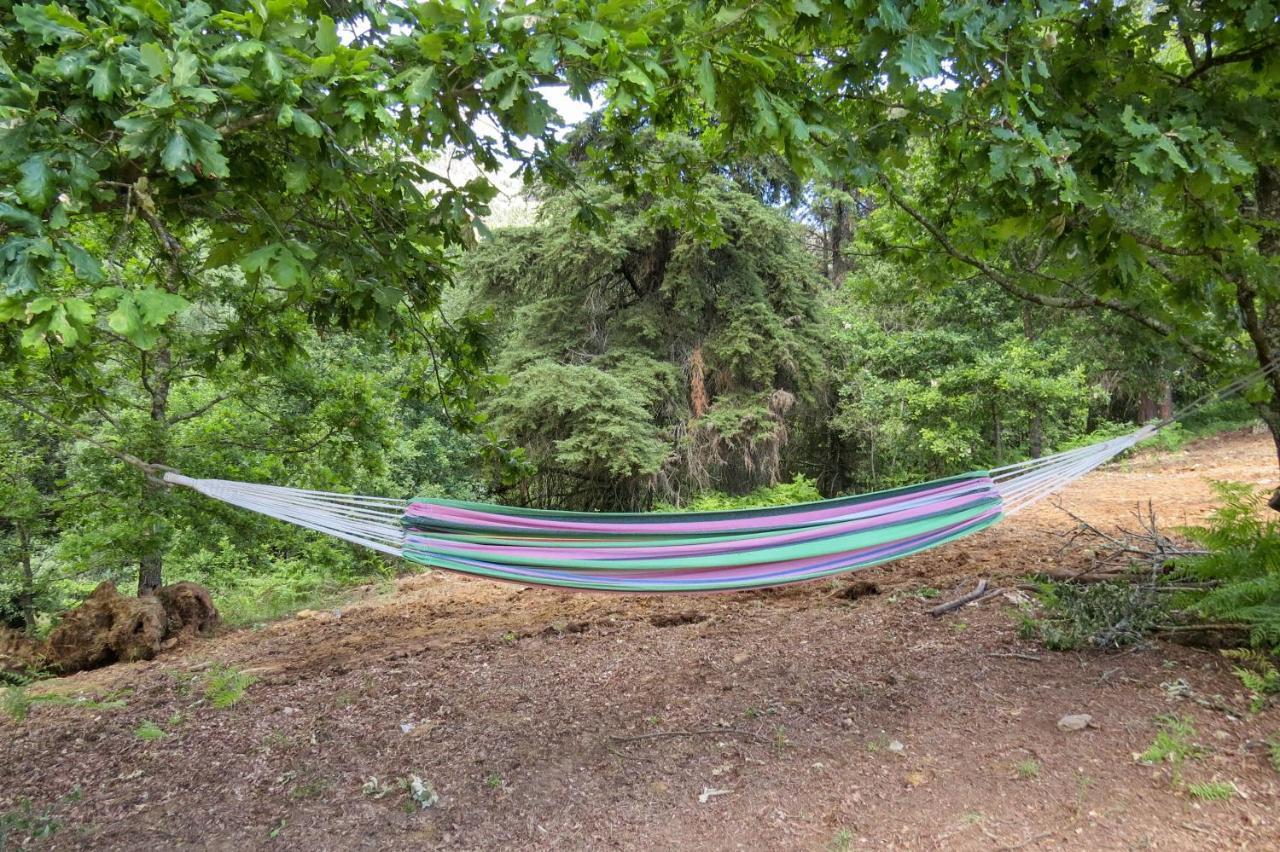 Willa Quinta Sao Jose - Museu Do Triciclo Mesão Frio Zewnętrze zdjęcie